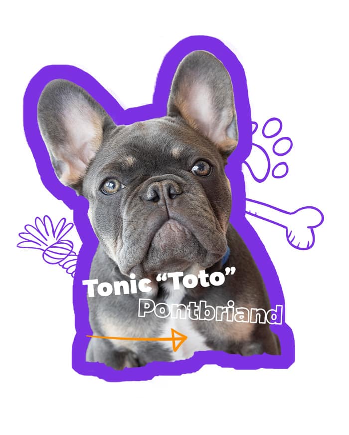 PHOTO_siteWeb_toto_01