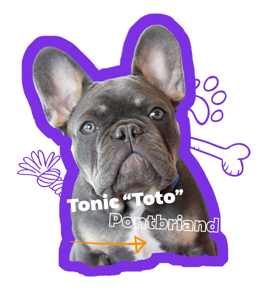 PHOTO_siteWeb_totopsd_02